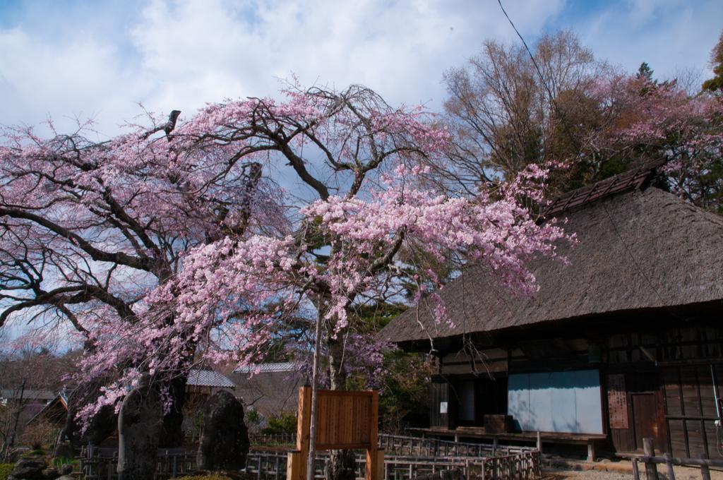 Vila Tombouctou Fujimi Exteriér fotografie